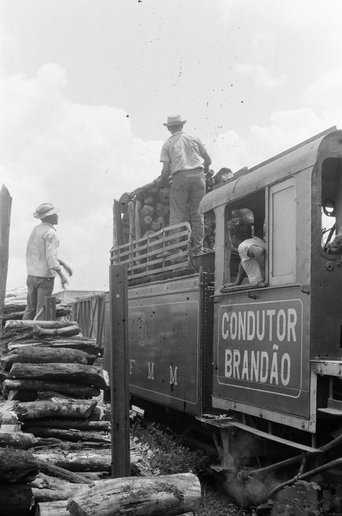 Locomotiva Brandão, também alemã. É a 20, que está em Guajará Mirim. O SPU trocou sua identificação para uma minissérie