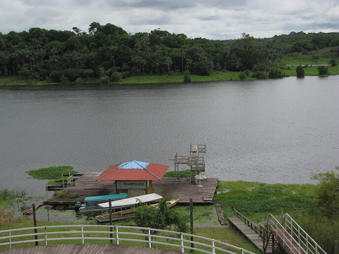 Paraíso D'Angelo - Manacapuru, AM