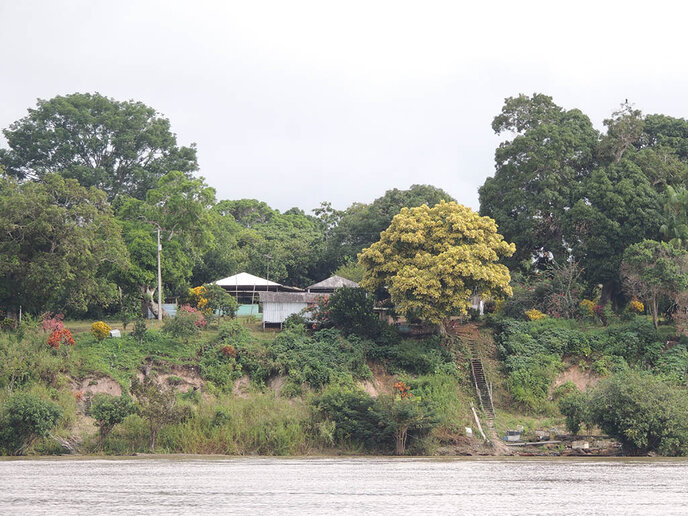 Rio Solimões