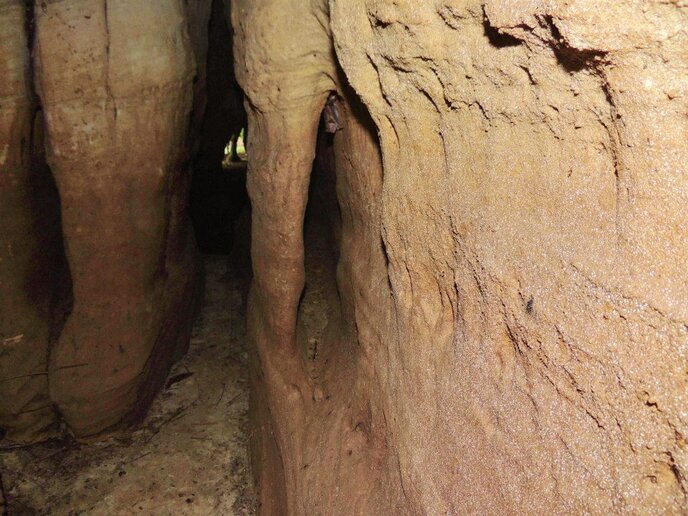 Berço da Humanidade, Itaituba, PA