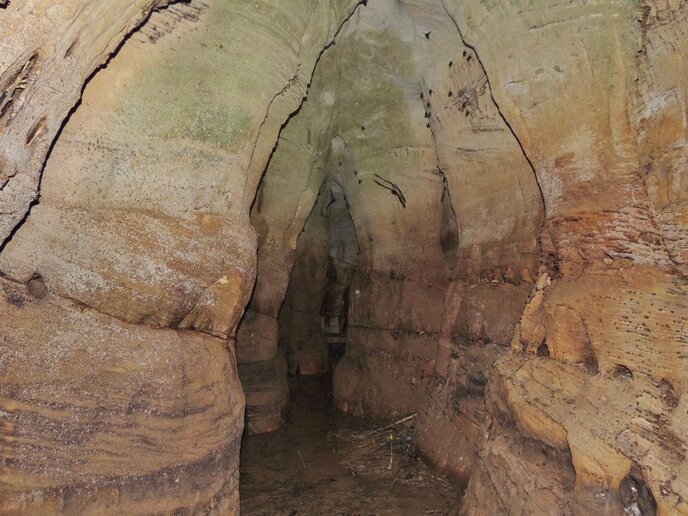 Berço da Humanidade, Itaituba, PA
