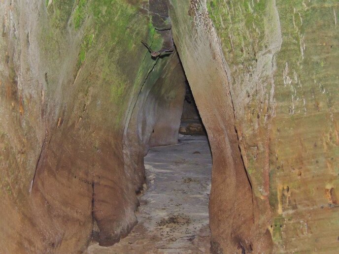 Berço da Humanidade, Itaituba, PA