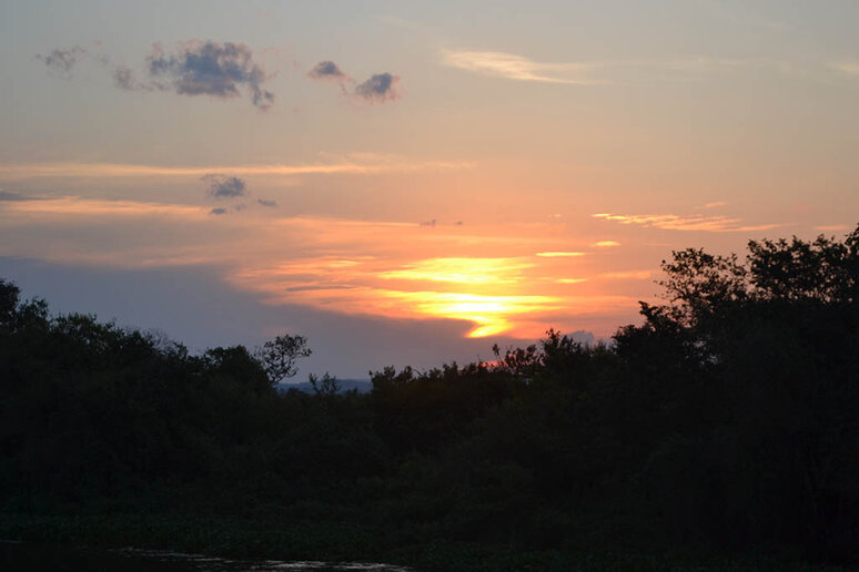 Rio Paraguai