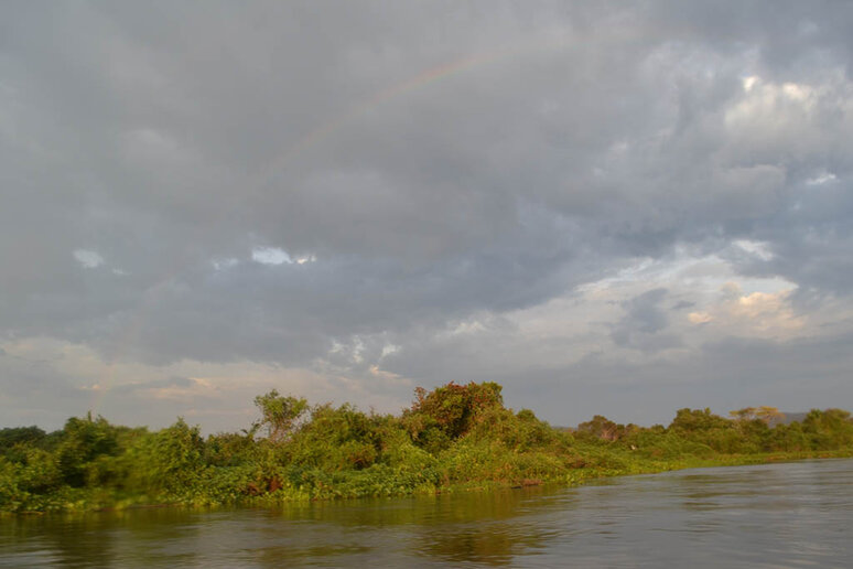 Rio Paraguai