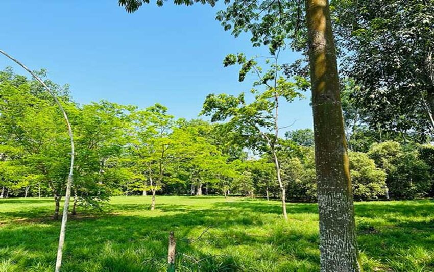 Parque Dr. José Adelino da Silva (Viriato Moura)