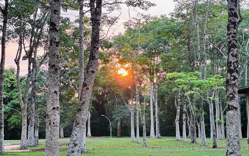 Fim de tarde no Parque Dr. José Adelino da Silva (Viriato Moura)