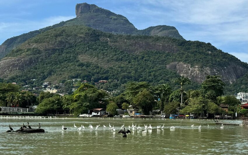 Ilha das Garças, Rio de Janeiro (Viriato Moura)