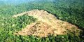 'Amazônia terá teste de fogo em 2008' diz Marina Silva