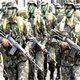 Exército e polícia encontram plantação de coca na Amazônia