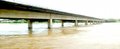 Rio Machado transborda, alaga comunidades e registra o maior nível desde fev de 2008 