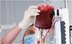 COBRANÇA DE SANGUE: ESCLARECIMENTOS E APELO AOS DOADORES