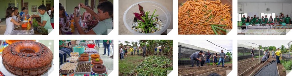 Nova Mutum Paraná realiza ações na semana do meio ambiente - Gente de Opinião