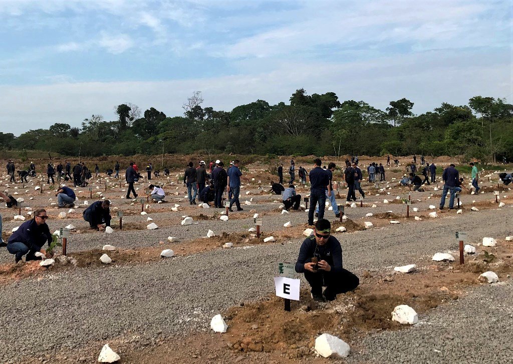 Hidrelétrica Santo Antônio comemora o Dia da Árvore com criação de bosque - Gente de Opinião