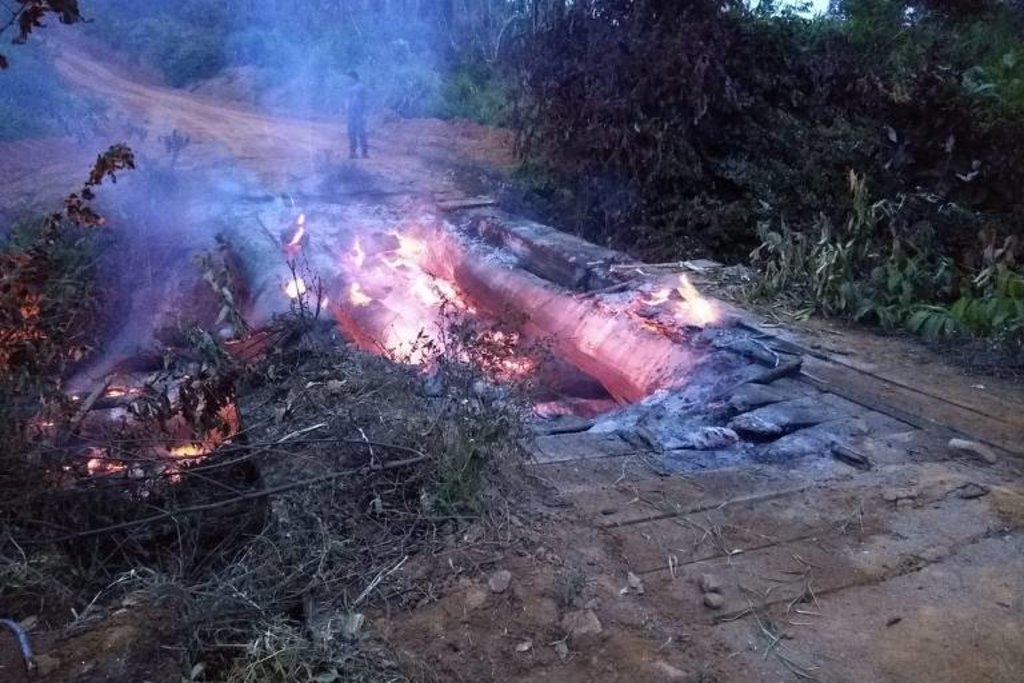 Ibama e ICMBio já sofrem ataques ao conter desmatamento em Rondônia e no Pará - Gente de Opinião