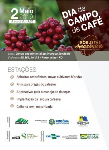 Embrapa apresenta novas cultivares híbridas de café em dia de campo em Porto Velho - Gente de Opinião