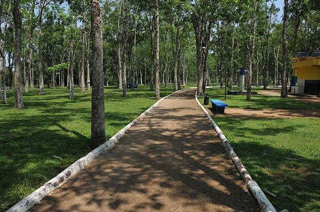 Parque Circuito terá Memorial dos Seringueiros - Gente de Opinião