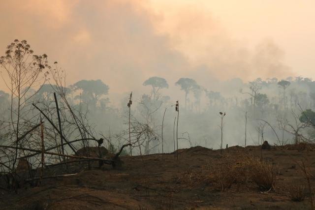 Ações coordenadas de órgãos públicos evita que incêndios atinjam reservas florestais em Machadinho do Oeste  - Gente de Opinião