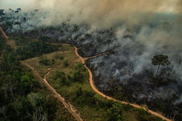 A Amazônia pode desaparecer como floresta e isso vai impactar o mundo todo - Gente de Opinião