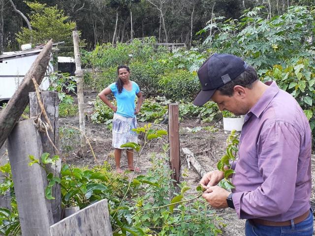 Assistência técnica da Prefeitura a produtores rurais aumenta produtividade dos pequenos agricultores de Vilhena - Gente de Opinião