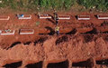 Em apenas 5 dias as mortes por coronavírus crescem mais de 80% em Rondônia