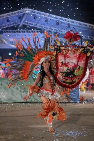 Lenha na Fogueira o Arraial Flor do Maracujá 2020 - Gente de Opinião