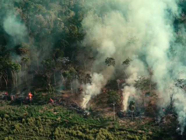 Queimadas podem destruir quase 9 mil quilômetros quadrados na Amazônia - Gente de Opinião