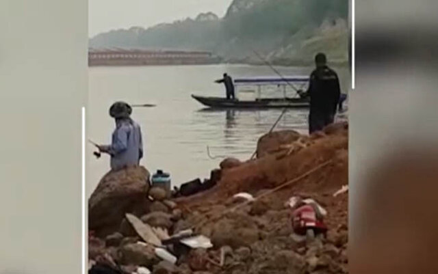 Pescadores matam jacaré no rio Madeira e estão sendo procurados pela polícia - Gente de Opinião