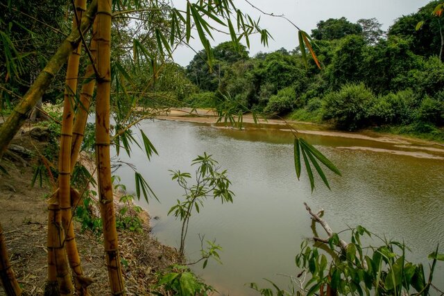 Rio Cautário banha a reserva,cuja temperatura oscila entre 23ºC e 29ºC - Gente de Opinião