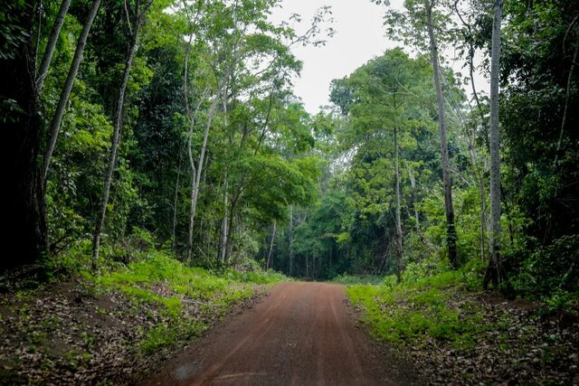 Rondônia ingressará na economia verde em 2021, a partir da organização de extrativistas da Resex Rio Cautário - Fotos: Frank Néry - Gente de Opinião