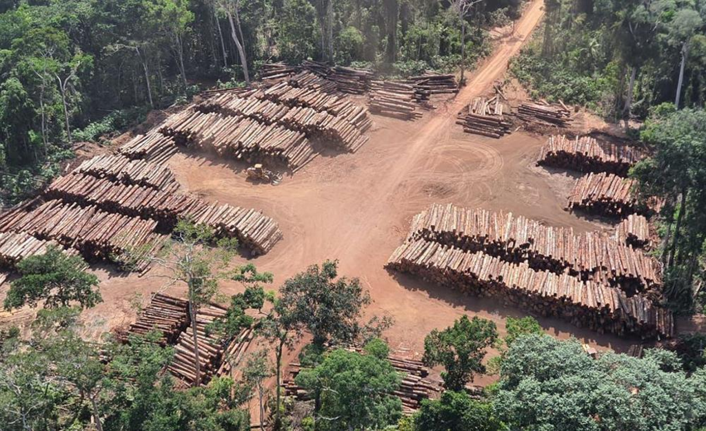 Volume  de madeira apreendida é estimado em 131 mil metros cúbicos é suficiente para a construção de 2.620 casas populares (Foto  Divulgação/Exército Brasileiro) - Gente de Opinião