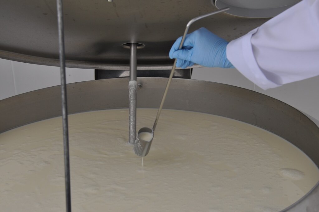 A boa qualidade dos produtos lácteos está diretamente associada à qualidade e composição do leite cru - Foto: Renata Silva - Gente de Opinião