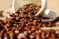 Fazenda em Novo Horizonte do Oeste é premiada em concurso de café e mostra força do produto em Rondônia