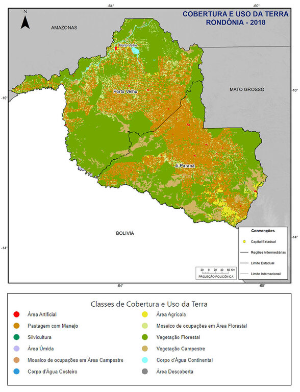 Rondônia foi o terceiro estado que mais reduziu vegetação nativa em 18 anos - Gente de Opinião
