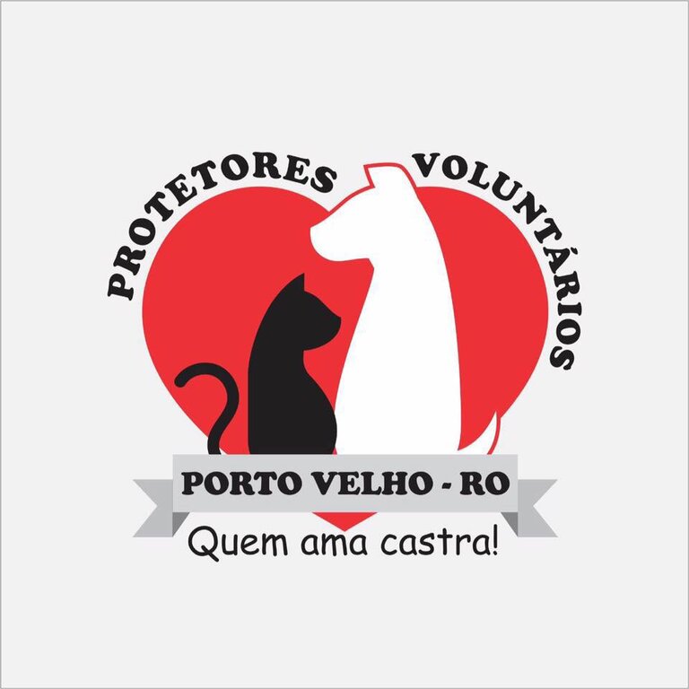 Rifa solidária vai arrecadar recursos para animais de rua de Porto Velho - Gente de Opinião