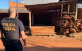 Operação investiga extração ilegal de madeira em terras indígenas de Rondônia