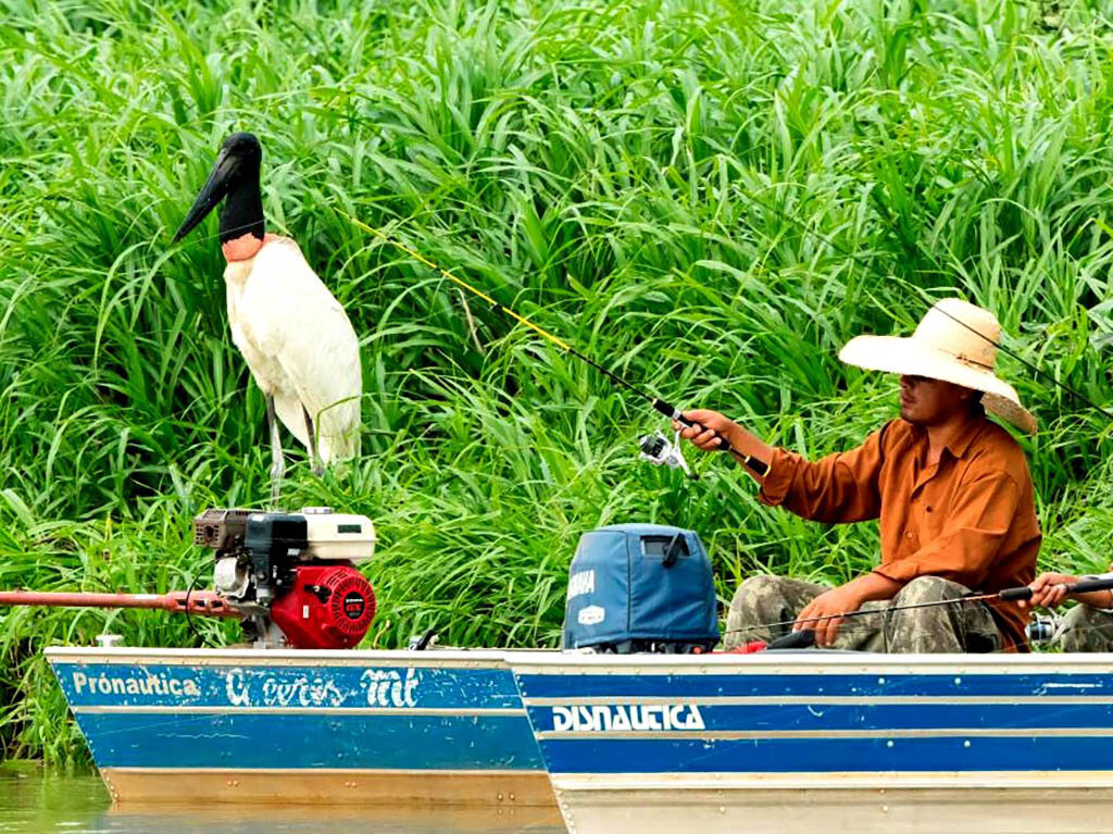 Pescaria no Pantanal (Timothy Radke) - Gente de Opinião