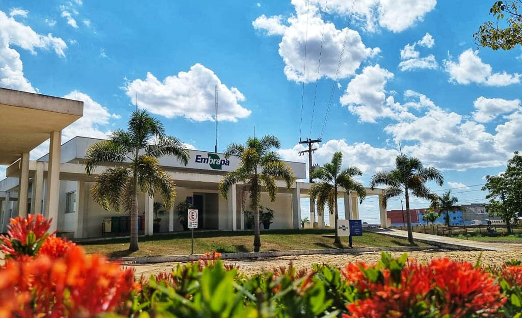 Embrapa Rondônia completa 46 anos no desenvolvimento de soluções tecnológicas para a agropecuária na Amazônia - Gente de Opinião