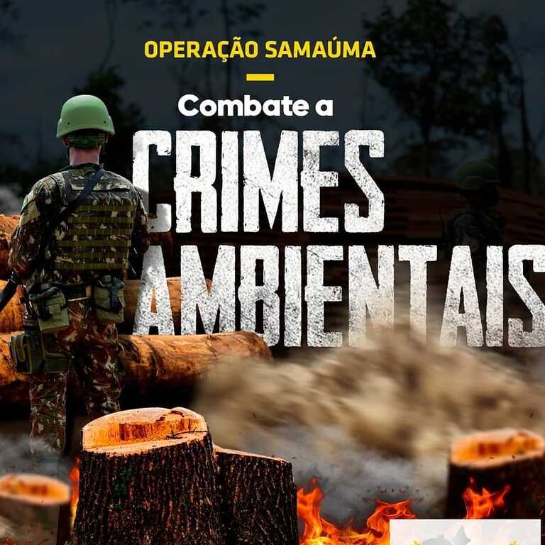 SAMAÚMA - Operação homenageia árvore “rainha da Amazônia” para combater crimes ambientais - Gente de Opinião