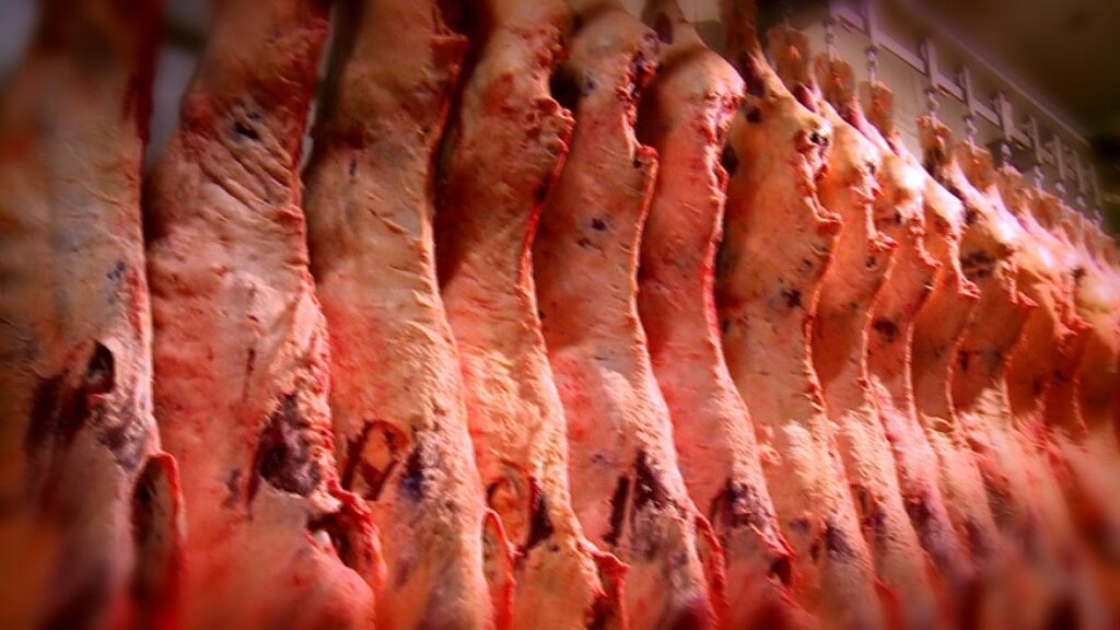 Liberada: China autoriza 21 frigoríficos brasileiros para exportação de carne. Cinco são de Rondônia  - Gente de Opinião