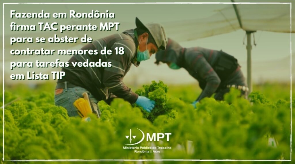 Fazenda em Rondônia firma TAC perante MPT para se abster de contratar menores de 18 para tarefas vedadas em Lista TIP  - Gente de Opinião