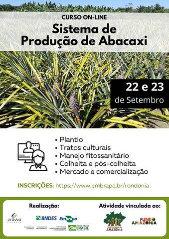 Parceria entre Jirau Energia e Embrapa/RO oferece curso para cultura do abacaxi em Rondônia - Gente de Opinião