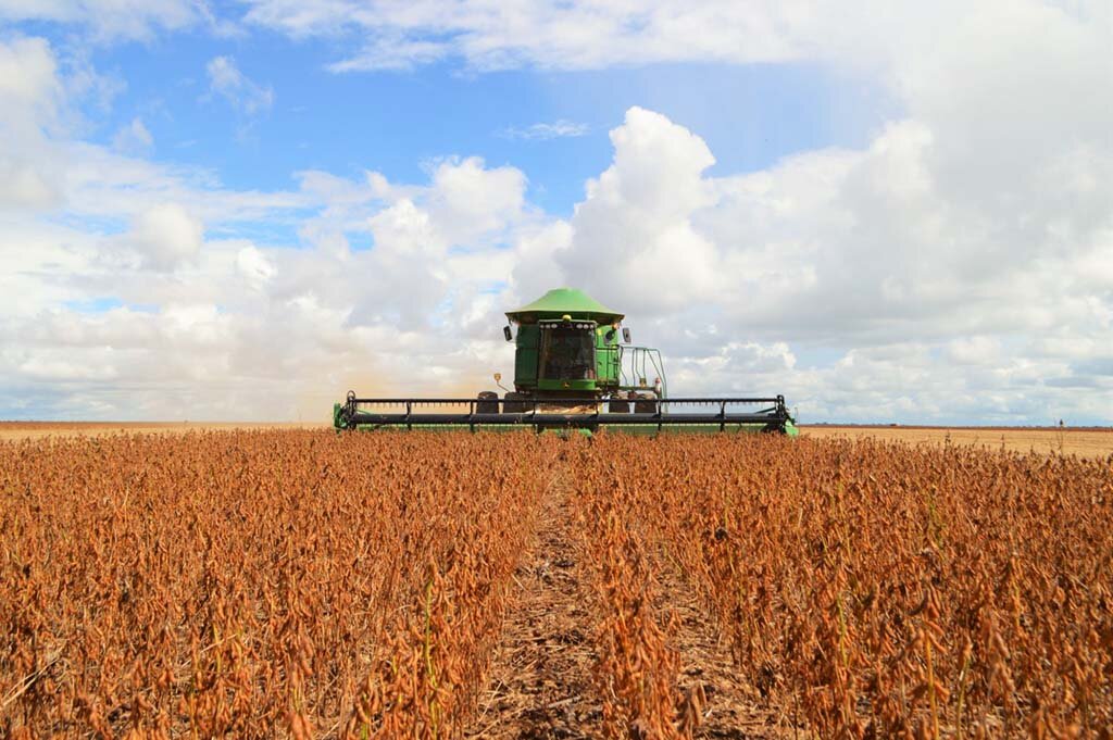 Rondônia bateu vários recordes no agronegócio importantes para o desenvolvimento econômico - Gente de Opinião