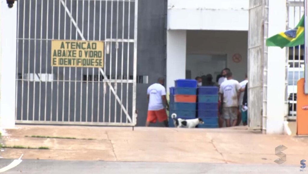 1.800 reais ao mês é quanto custa cada preso em Rondônia - Gente de Opinião