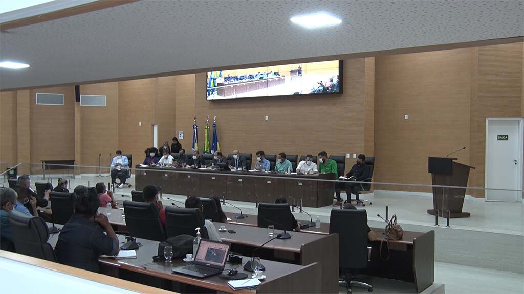 Sebrae e deputados de Rondônia discutem em audiência pública a cadeia produtiva da castanha do Brasil  - Gente de Opinião