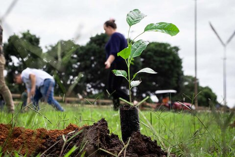 Renascimento: secretarias de Meio Ambiente e Saúde de Vilhena entregam mudas de árvores para pacientes que venceram a covid-19