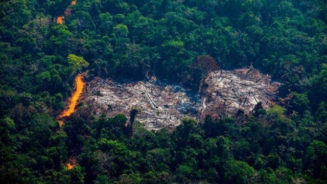 Amazônia: desmatamento e panorama geral sobre o ano para o Meio Ambiente - Gente de Opinião