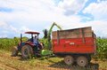 Prefeitura de Ariquemes auxilia na produção de silagem em pequenas propriedades rurais