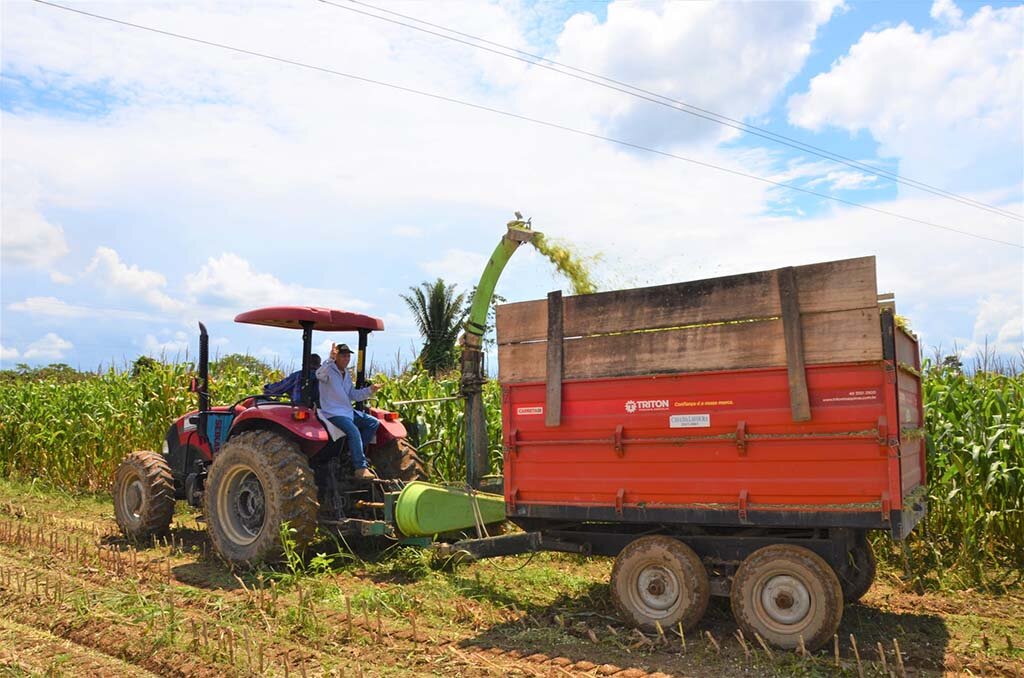 Prefeitura de Ariquemes auxilia na produção de silagem em pequenas propriedades rurais - Gente de Opinião