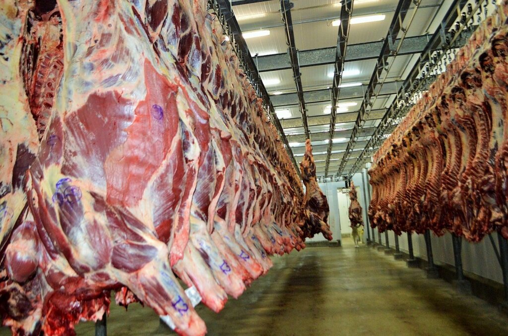 Em 2021, os EUA compraram o equivalente a U$ 48 milhões em carne bovina, cerca de 6,2% de todo o volume exportado no período - Gente de Opinião