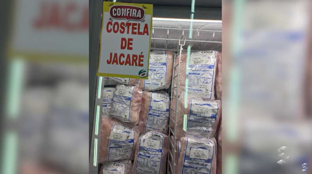Carne de Jacaré tem cooperativa que ganha força - Gente de Opinião